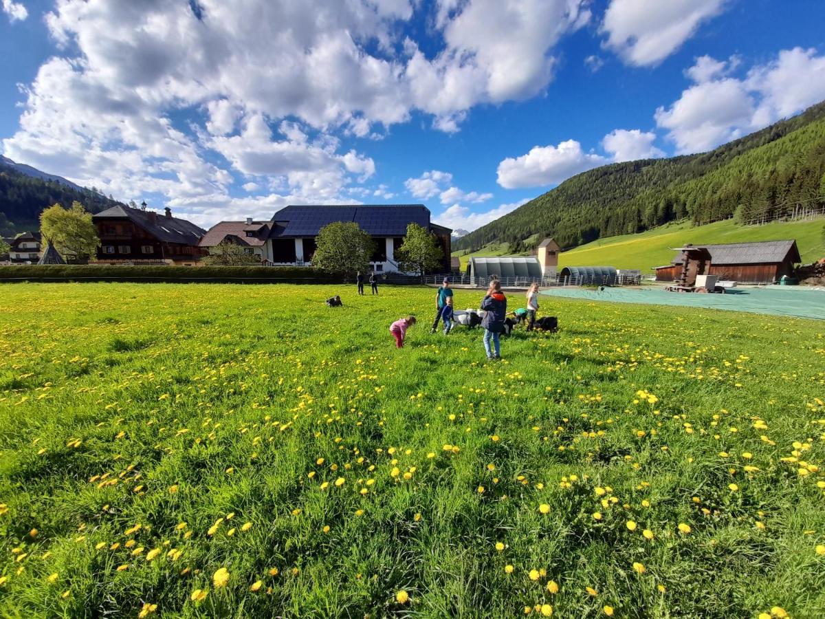 Sonnenchalet Neusess Mauterndorf (Salzburg) Exterior foto